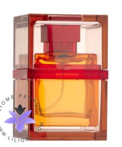 عطر ادکلن روبرتو ورینو وی وی مردانه-Roberto Verino VV Man