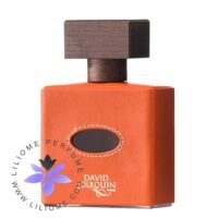 عطر ادکلن دیوید ژورکوئین کویر ماندارین-David Jourquin Cuir Mandarine