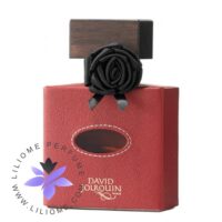 عطر ادکلن دیوید ژورکین کویر د ریو-David Jourquin Cuir de R'Eve