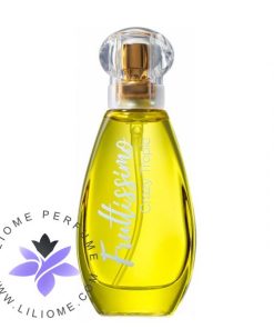 عطر ادکلن بروکارد کریزی تروپیک-Brocard Crazy Tropic