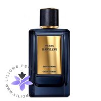 عطر ادکلن پرادا میراژز بابیلون-prada Mirages Babylon