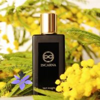 عطر ادکلن اینکارنا پارفومز ورت این‌سایت-Incarna parfums Vert insight