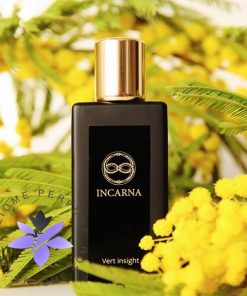 عطر ادکلن اینکارنا پارفومز ورت این‌سایت-Incarna parfums Vert insight