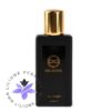 عطر ادکلن اینکارنا پارفومز ورت این‌سایت-Incarna parfums Vert insight