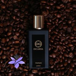 عطر ادکلن اینکارنا پارفومز اورتور-Incarna parfums Overture