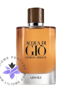 عطر ادکلن جورجیو آرمانی آکوا دی جیو ابسولو Giorgio Armani Acqua Di Gio Absolu