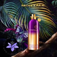 عطر ادکلن مونتاله سنشوال اینستینکت-Montale Sensual Instinct