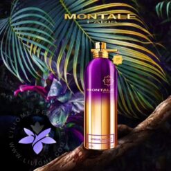 عطر ادکلن مونتاله سنشوال اینستینکت-Montale Sensual Instinct