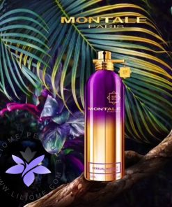 عطر ادکلن مونتاله سنشوال اینستینکت-Montale Sensual Instinct