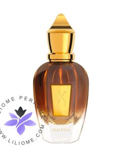 عطر ادکلن زرجف-زرژاف ایندوچین 2019-Xerjoff Indochine 2019