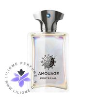 Amouage Portrayal Man