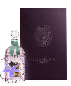 عطر ادکلن گرلن ایمجین Guerlain Imagine
