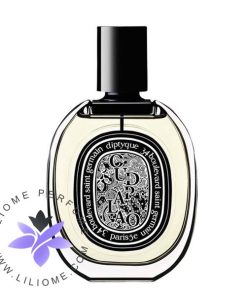 عطر ادکلن دیپتیک عود پالائو-Diptyque Oud Palao