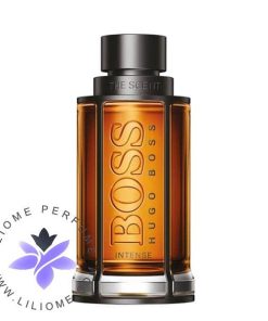 عطر ادکلن هوگو بوس د سنت اینتنس Hugo Boss The Scent Intense