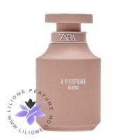 عطر ادکلن زارا ای پرفیوم این رز-Zara A Perfume In Rose