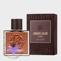 عطر ادکلن روبرتو کاوالی یومو دیپ دیزایر-Roberto Cavalli Uomo Deep Desire