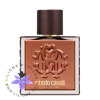 عطر ادکلن روبرتو کاوالی یومو دیپ دیزایر-Roberto Cavalli Uomo Deep Desire