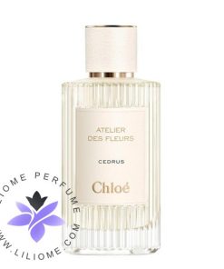 عطر ادکلن کلوهه سدروس-Chloe Cedrus