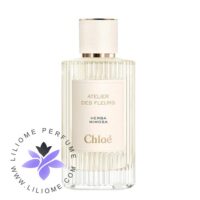 عطر ادکلن کلوهه هربا میموسا-Chloe Herba Mimosa