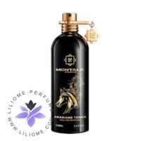 عطر ادکلن مونتاله عربینز تونکا-Montale Arabians Tonka