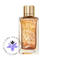 عطر ادکلن لانکوم پیووین پرانتمپ Lancome Pivoines Printemps