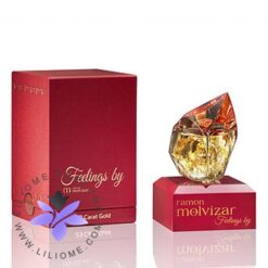 عطر ادکلن رامون مولویزار فیلینگز-Ramon Molvizar Feelings