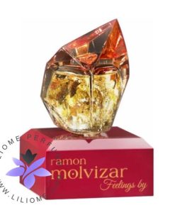 عطر ادکلن رامون مولویزار فیلینگز-Ramon Molvizar Feelings