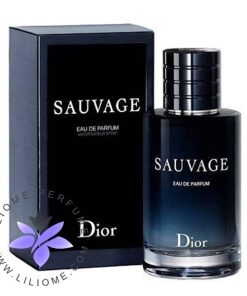 عطر ادکلن دیور ساواج ادو پرفیوم-Dior Sauvage Eau de Parfum 200ml