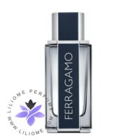 عطر ادکلن سالواتوره فراگامو فراگامو-Salvatore Ferragamo Ferragamo