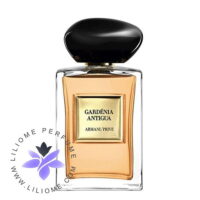 عطر ادکلن جورجیو آرمانی گاردنیا آنتیگوا Giorgio Armani Gardénia Antigua