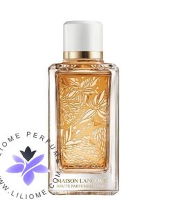 عطر ادکلن لانکوم اورنجز بیگرادس Lancome Oranges Bigarades