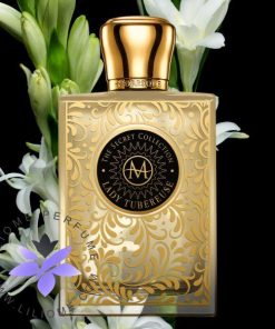 عطر ادکلن مورسک لیدی توبرز (تیوب رز)-Moresque Lady Tubereuse