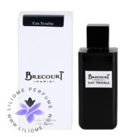 عطر ادکلن برکورت او تروبل | Brecourt Eau Trouble