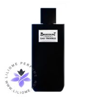 عطر ادکلن برکورت او تروبل | Brecourt Eau Trouble