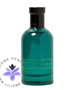 عطر ادکلن زارا میدسامر کالکشن دیپ فوره | Zara Midsummer Collection Deep Fougere