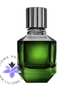 عطر ادکلن روبرتو کاوالی پاردایس فاوند (فوند) مردانه | Roberto Cavalli Paradise Found For men