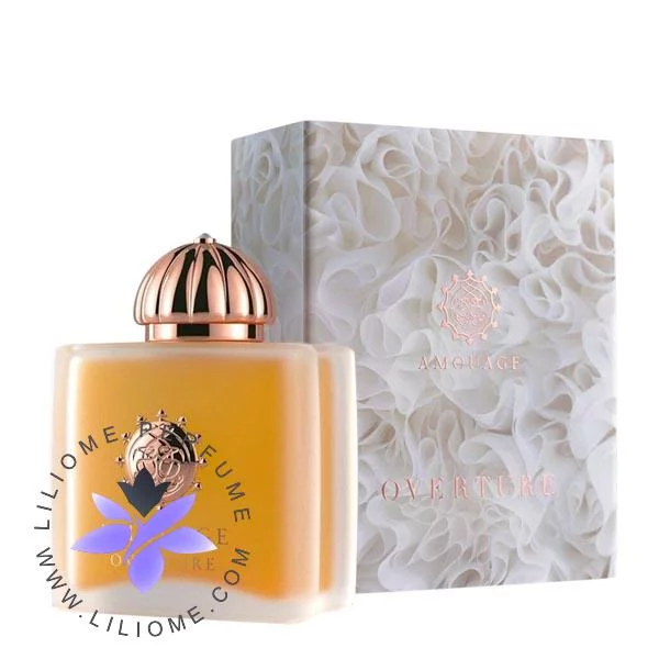 Amouage Overture Women