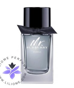 عطر ادکلن مستر بابری ایندیگو | Mr. burberry indigo