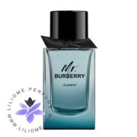 عطر ادکلن مستر بابری المنت | Mr. burberry Element