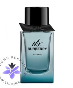 عطر ادکلن مستر بابری المنت | Mr. burberry Element