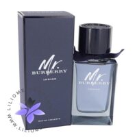 عطر ادکلن مستر بابری ایندیگو | Mr. burberry indigo