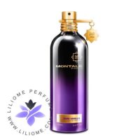 عطر ادکلن مونتال دارک وانیلا | Montale Dark Vanilla