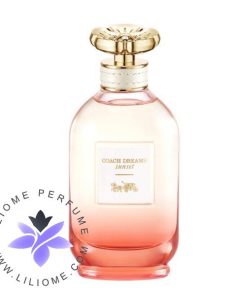 عطر ادکلن کوچ دریمز سانست | Coach Dreams Sunset