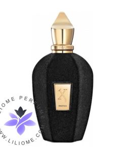 عطر ادکلن زرجف - زرجوف ایپنوتیکا | Xerjoff Ipnotica
