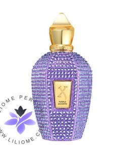عطر ادکلن زرجوف پرپل اکسنتو | Xerjoff Purple Accento