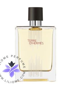 عطر ادکلن هرمس تق هرمس فلاکون اچ 2021 ادوتویلت | Hermes Terre d'Hermes Flacon H 2021 EDT