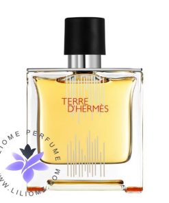 عطر ادکلن هرمس تق هرمس فلاکون اچ 2021 پارفوم | Hermes Terre d'Hermes Flacon H 2021 Parfum