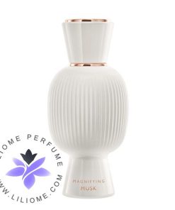 عطر ادکلن بولگاری آلیگرا مگنیفایینگ ماسک اسنس | Bvlgari Allegra Magnifying Musk Essence