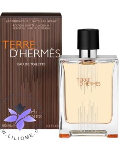 عطر ادکلن هرمس تق هرمس فلاکون اچ 2021 ادوتویلت | Hermes Terre d'Hermes Flacon H 2021 EDT