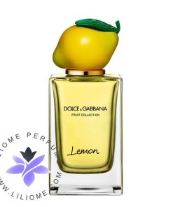 عطر ادکلن دولچه گابانا لمون | Dolce & Gabbana Lemon